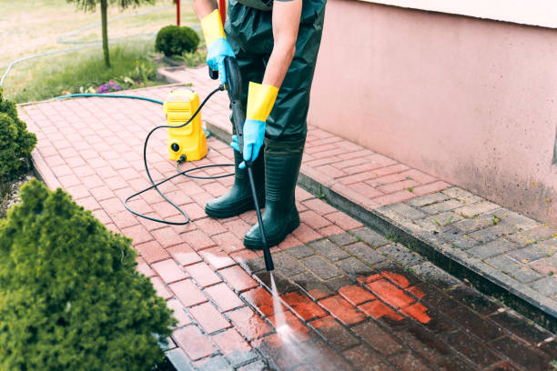 Best Sidewalk and Walkway Cleaning  in New Buffalo, MI
